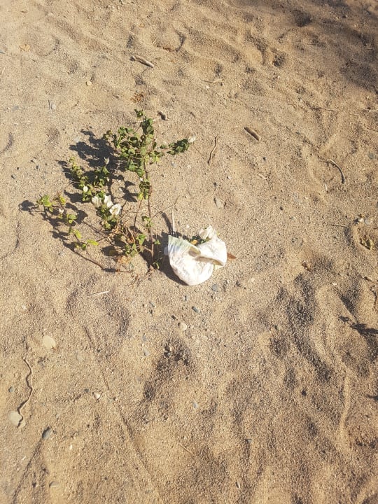 Außenansicht Bliss Nada Beach Resort