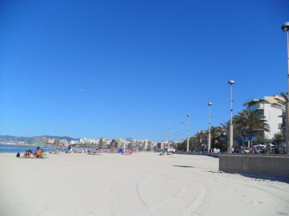 Vom Strand aus das Hotel Playa  Hotel Edén Palma Playa - Adults Only