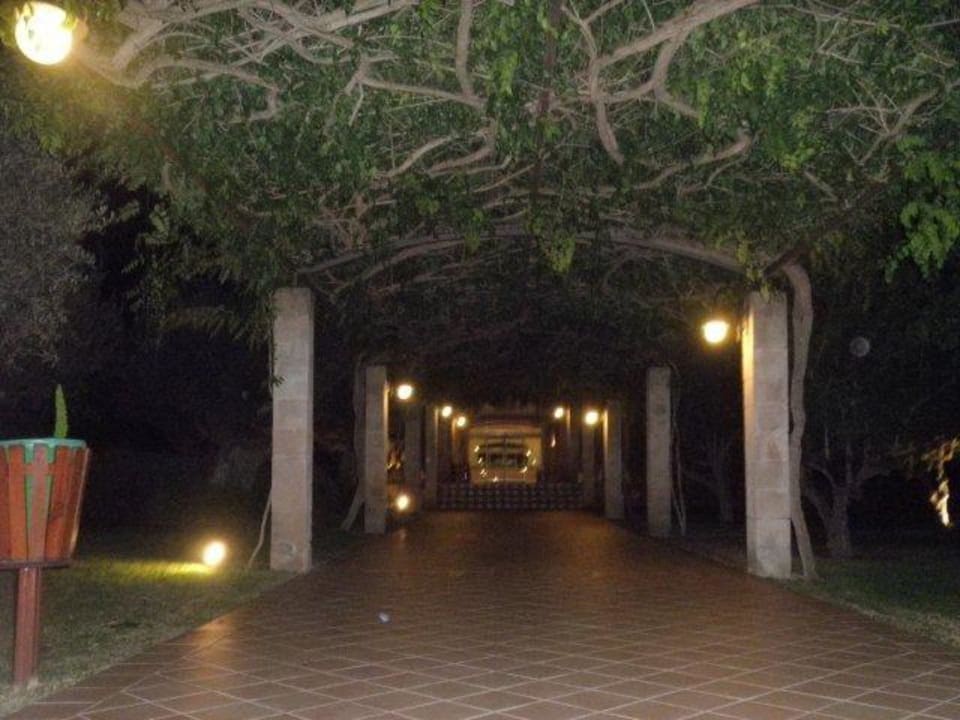 Richtung Rezeption Zafiro Mallorca