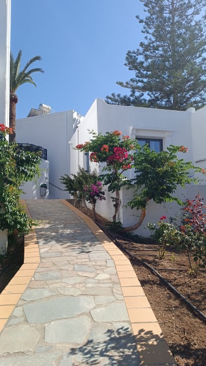 Gartenanlage TUI SUNEO Chrissi Amoudia