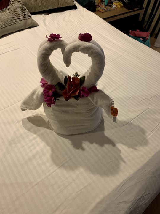 Zimmer Hotel Delphin Imperial