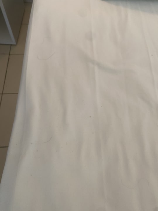 Zimmer Monarque Dar Jerba Zahra