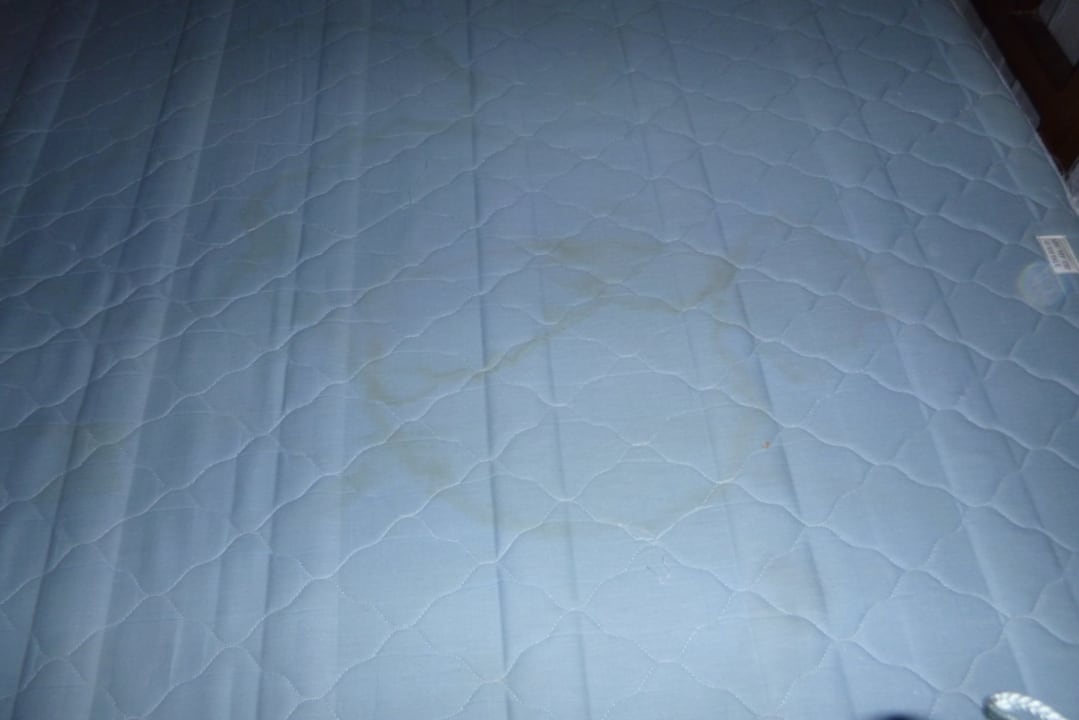 Zimmer Neptune Palm Beach Boutique Resort & Spa