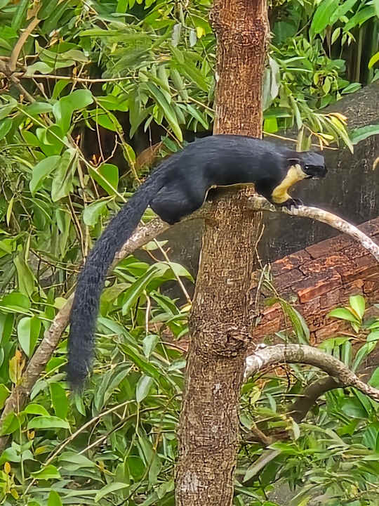 Gartenanlage Santhiya Koh Yao Yai Resort & Spa