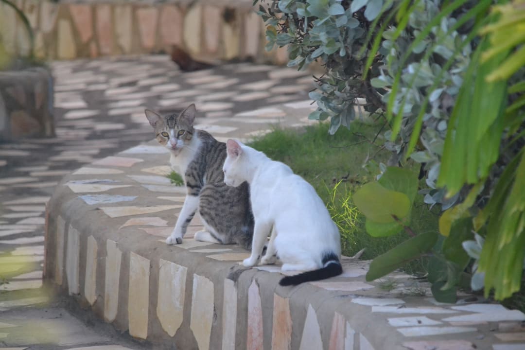 Sonstiges Samsara Cliff Resort