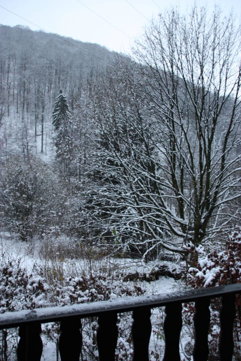 Genießen Sie die Idylle. Ferienhaus HarzZauber