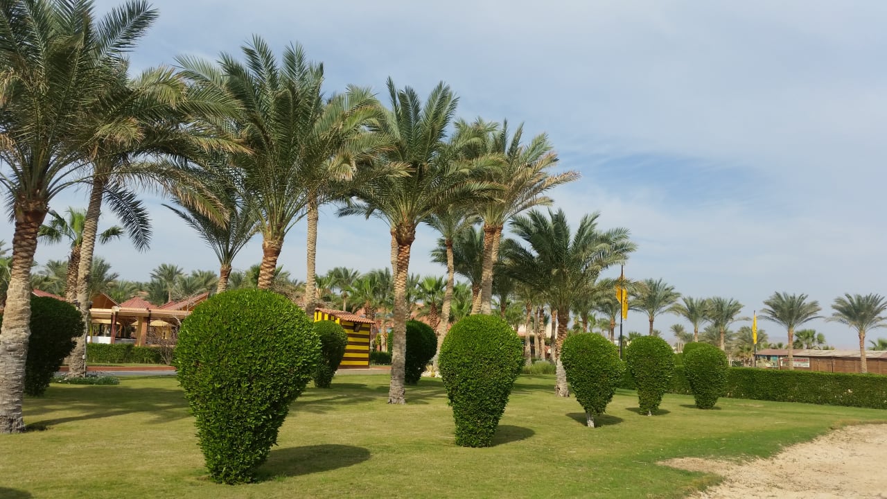 Strand TUI MAGIC LIFE Redsina Sharm El Sheikh