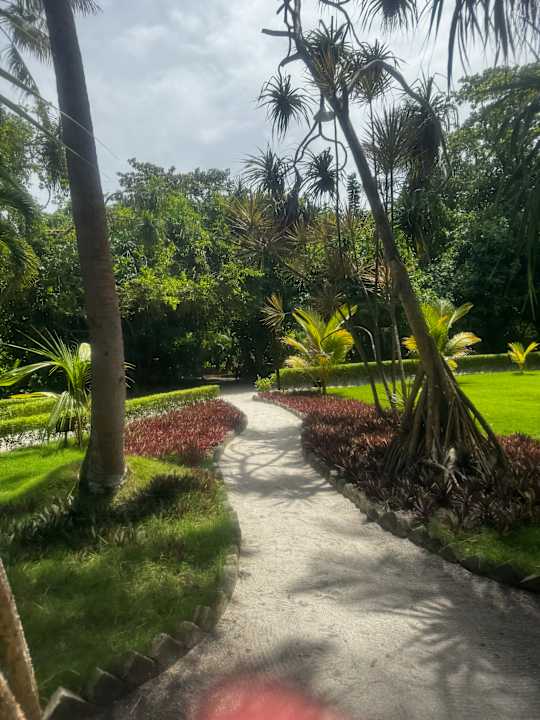 Gartenanlage Adaaran Select Meedhupparu Island Resort - Premium All Inclusive