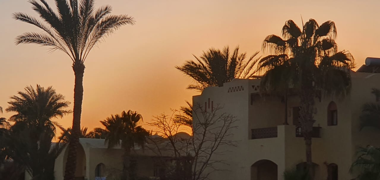 Ausblick Steigenberger Coraya Beach - Adults only