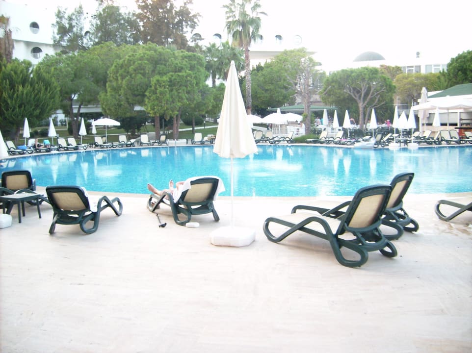 Pool Asteria Collection Side