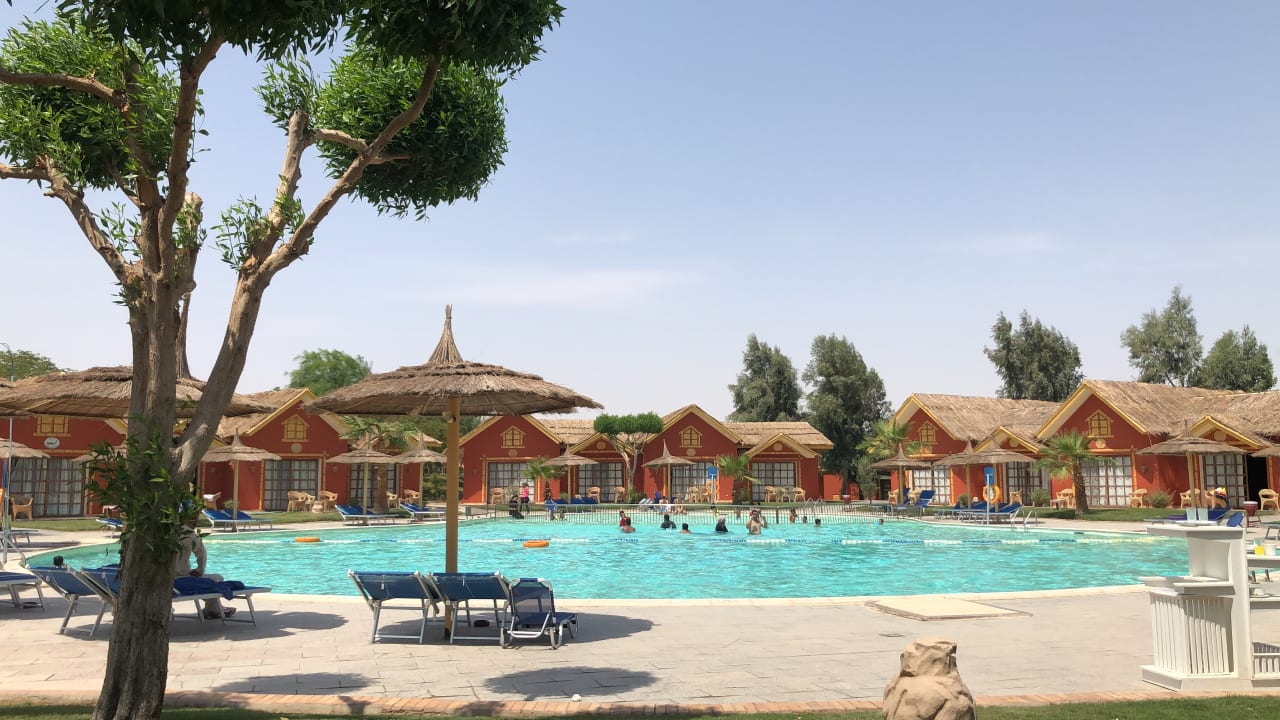 Pool Pickalbatros Jungle Aqua Park Resort - Neverland Hurghada