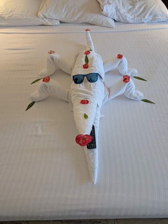 Zimmer Malikia Resort Abu Dabbab