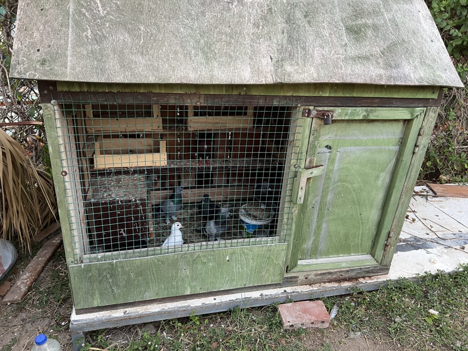 Gartenanlage Saphir Resort & Spa