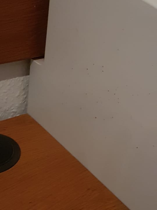 Zimmer Gasthaus zur Noll