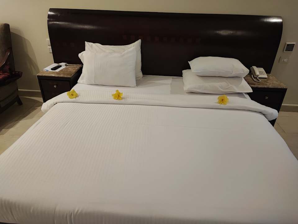 Zimmer Shams Prestige Abu Soma-Adults Only