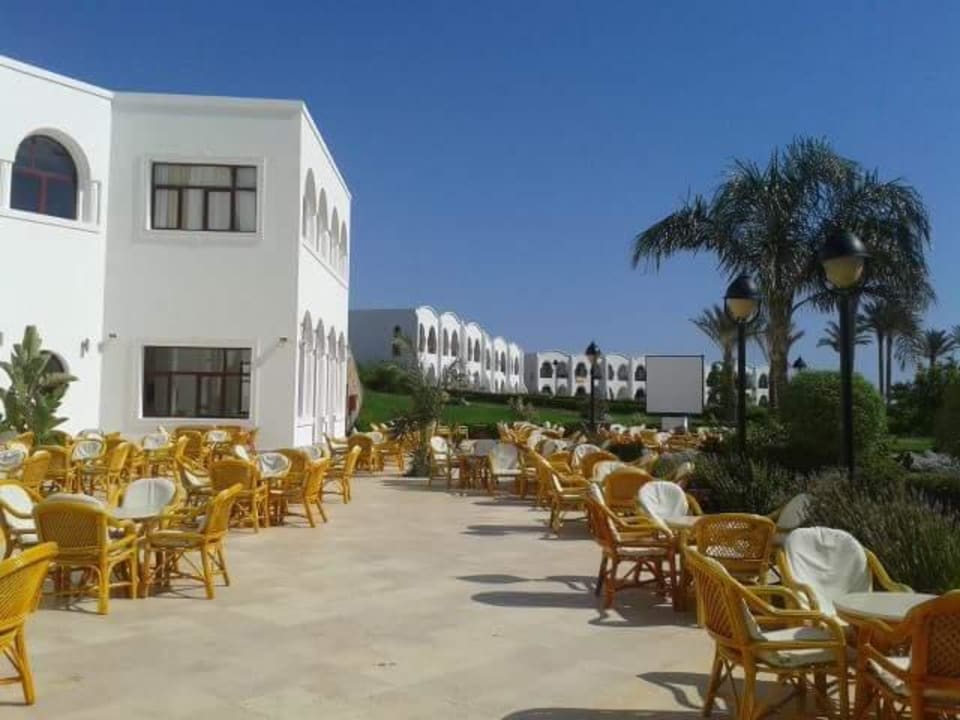 Bar Hotel Gorgonia Beach Resort