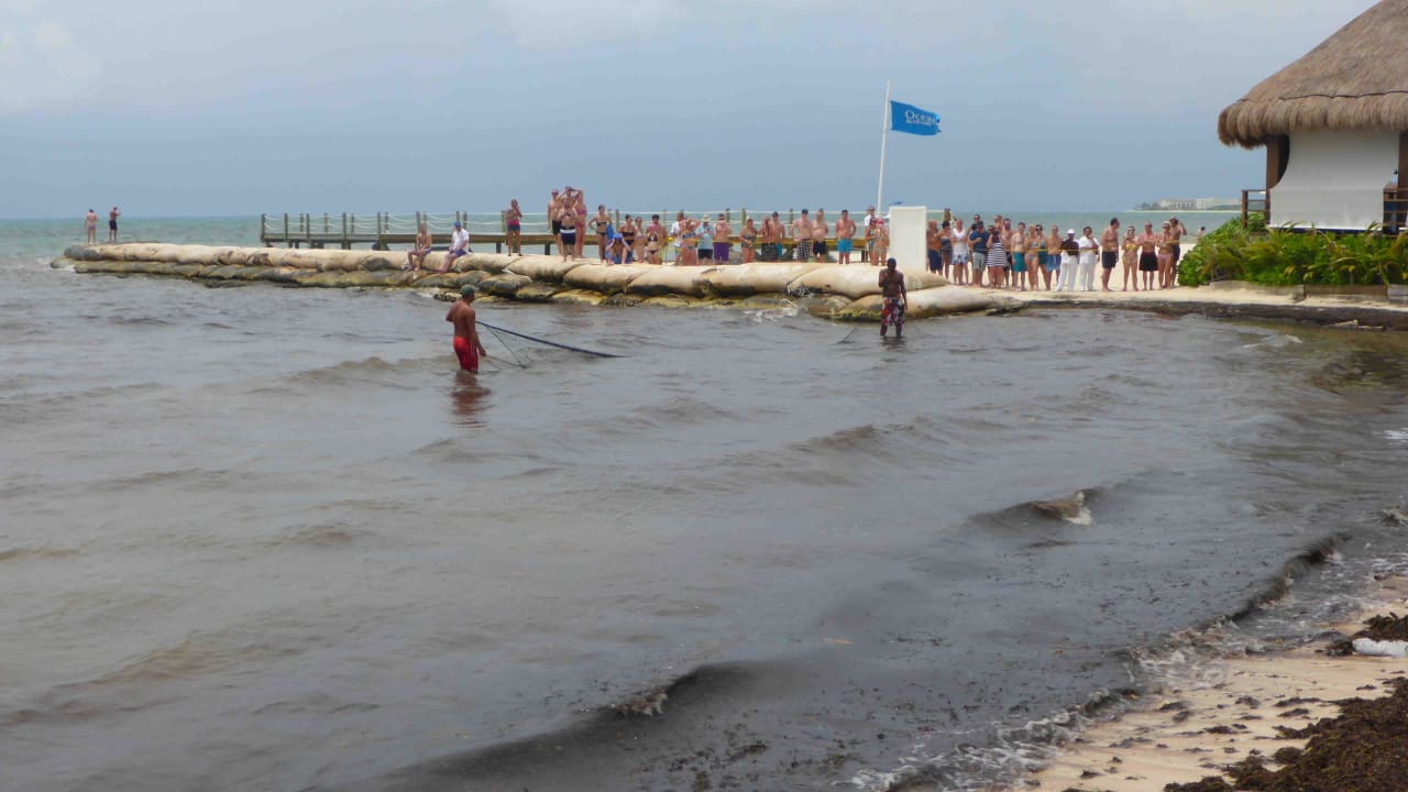 Fangversuch des Krokodils  BlueBay Grand Esmeralda