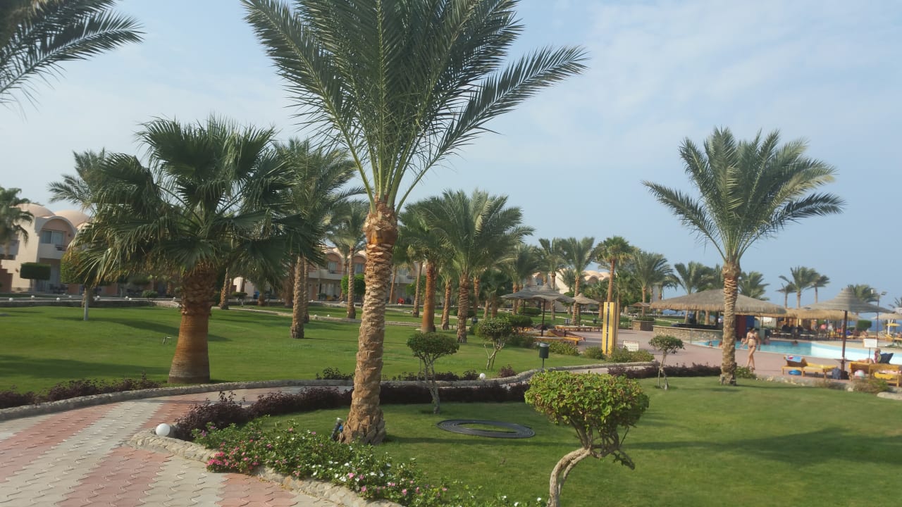 Gartenanlage Three Corners Sea Beach Resort