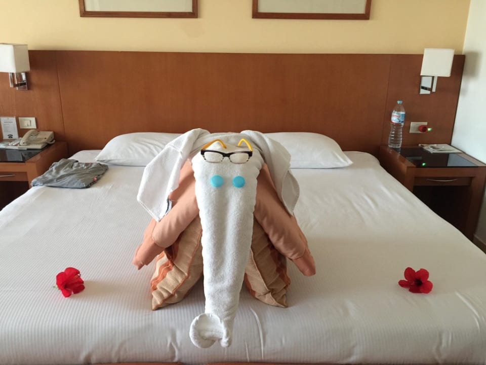 Jeden Abend eine neue Überraschung Cleopatra Luxury Beach Resort Makadi Bay - Adults only