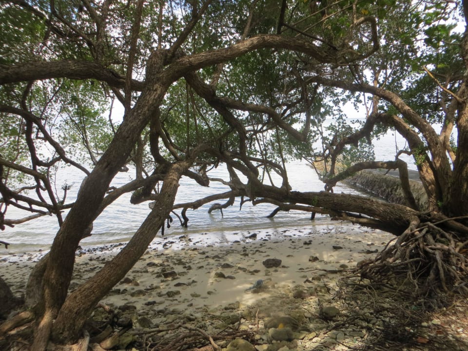 Unterwegs zwischen Strand und Bungalows Adaaran Select Hudhuran Fushi - Premium All Inclusive