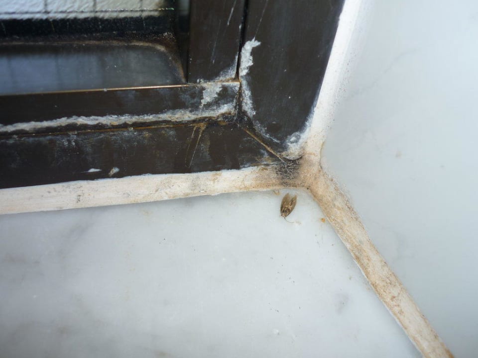 Bad-Fenster von innen Sun Club Playa del Ingles