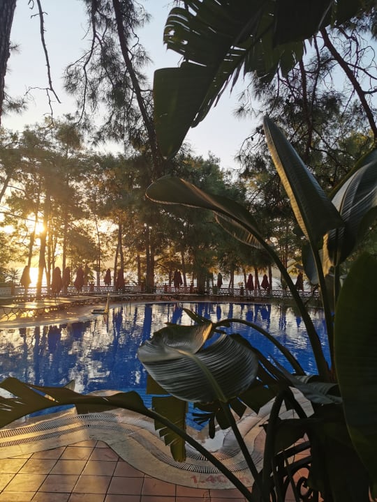 Pool Grand Yazici Club Marmaris Palace