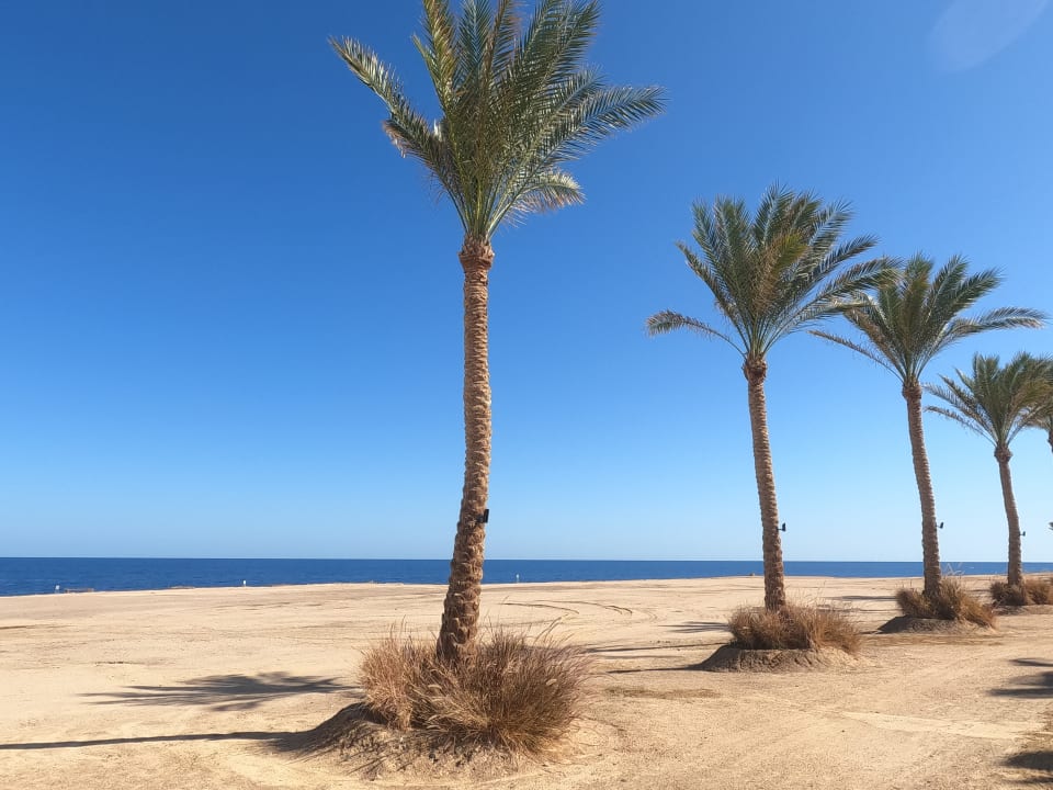 Strand Steigenberger Coraya Beach - Adults only