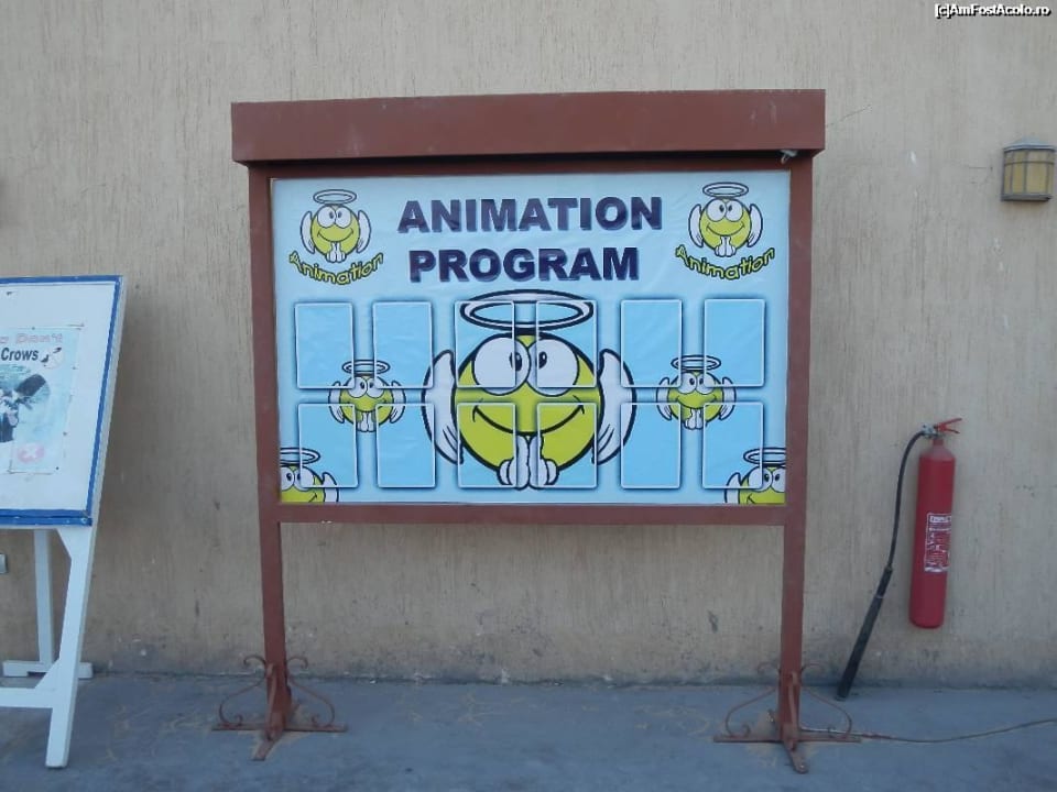 Great animation program in this week ! Imperial Shams Abu Soma