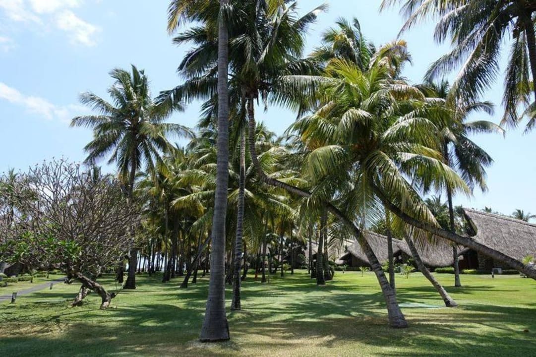 Traumhafter Palmengarten La Pirogue Mauritius