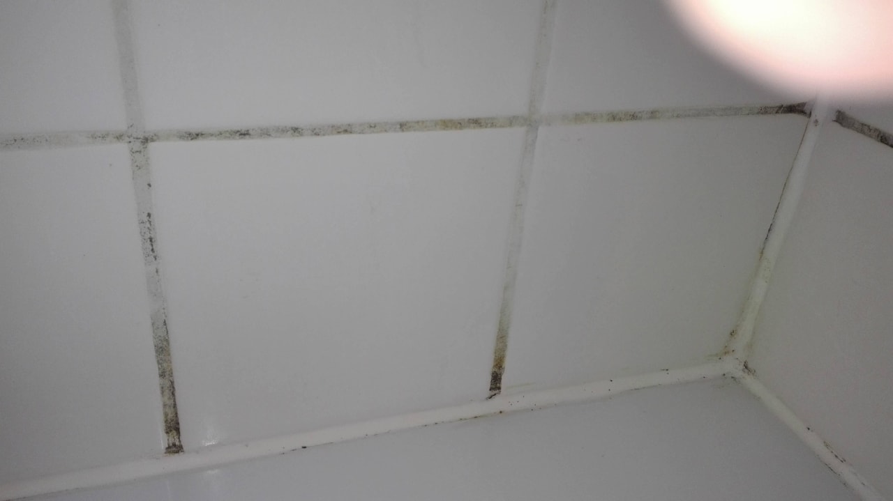 Dusche--kein Kommentar mehr nötig Hotel Wyndham Garden Wismar