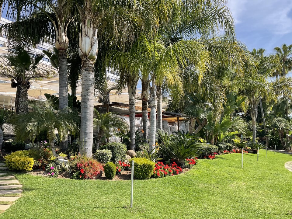 Gartenanlage Amathus Beach Hotel Limassol
