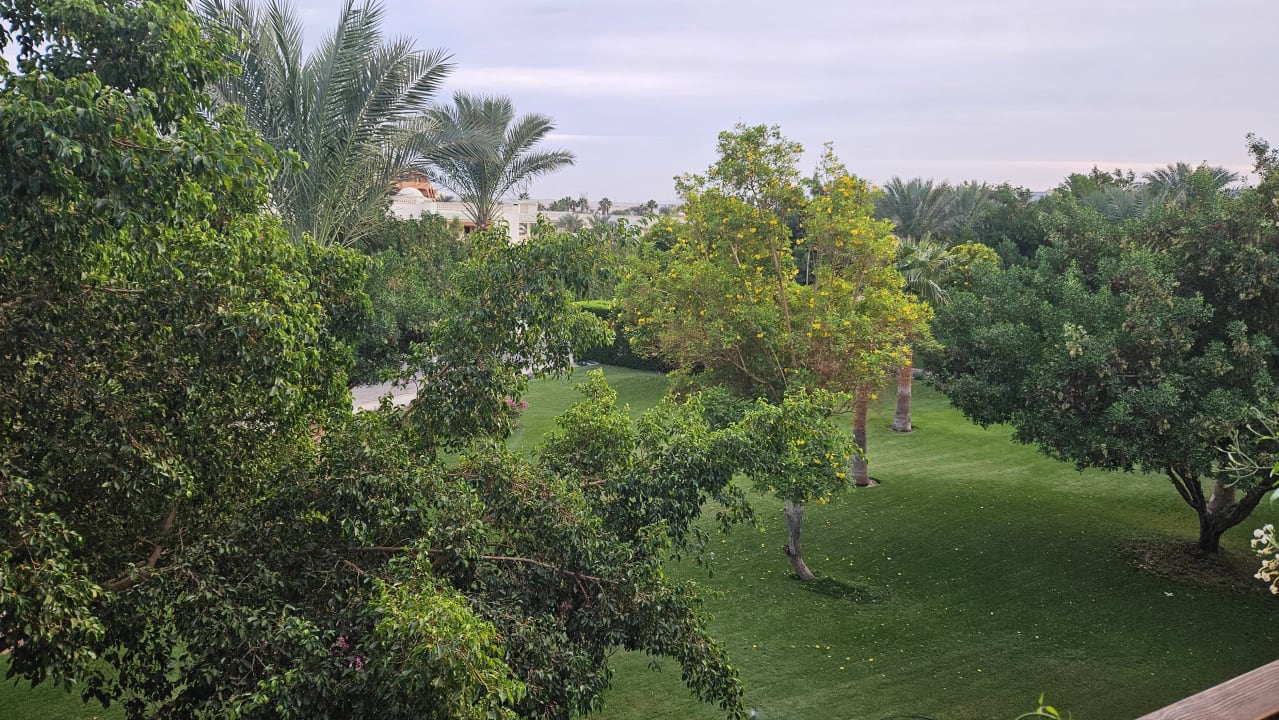 Gartenanlage Desert Rose