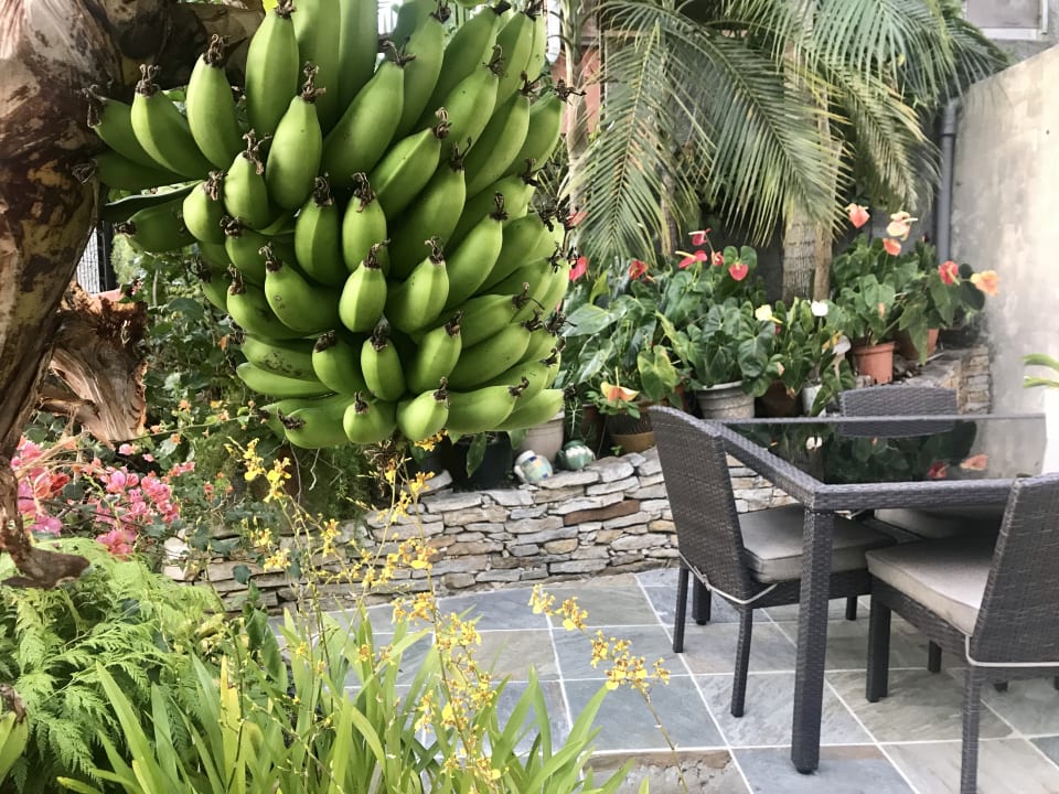Gartenanlage La maison de Louise