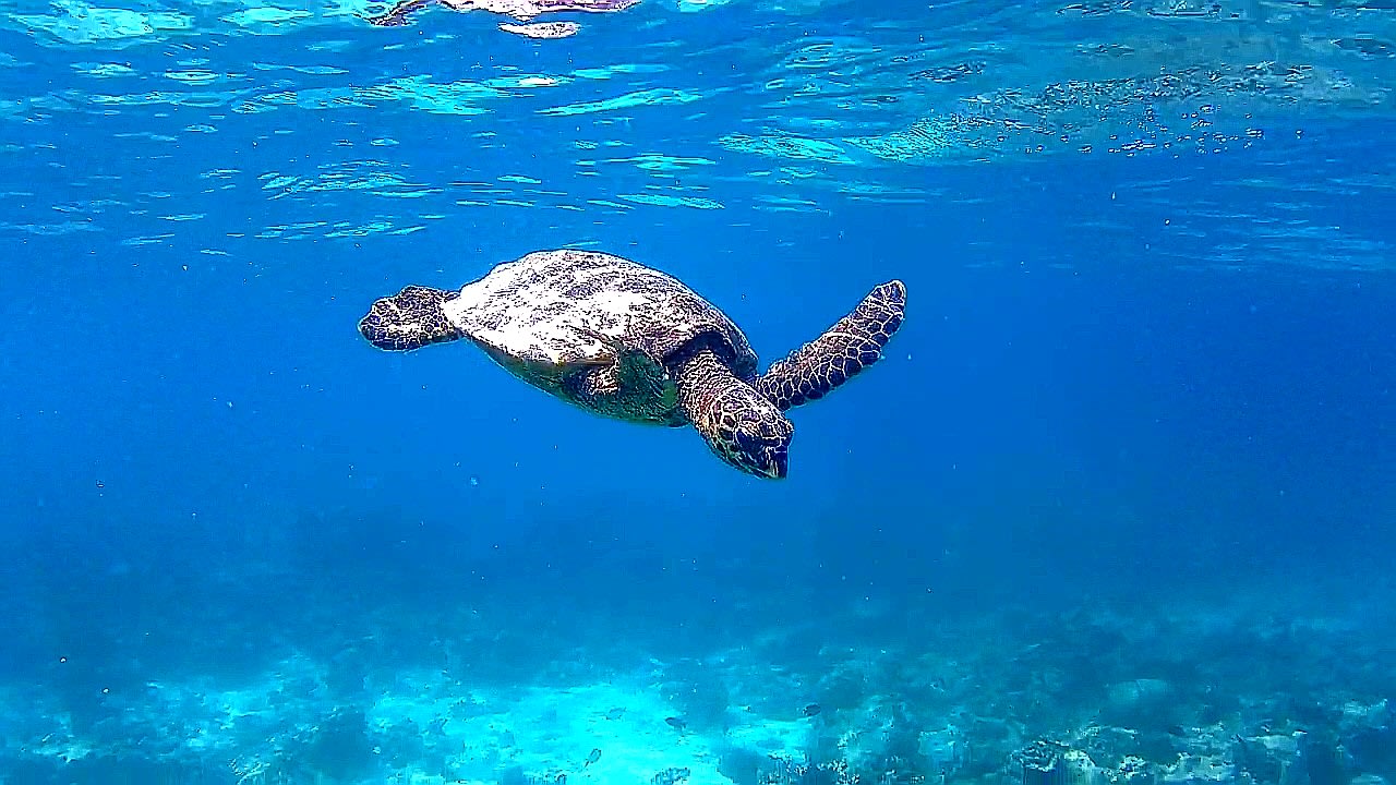 Sport & Freizeit Adaaran Select Hudhuran Fushi - Premium All Inclusive