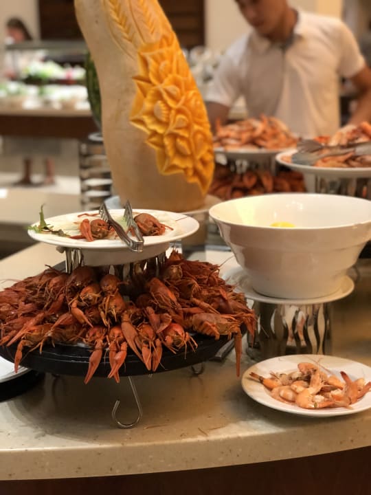 Gastro Arum Barut Collection