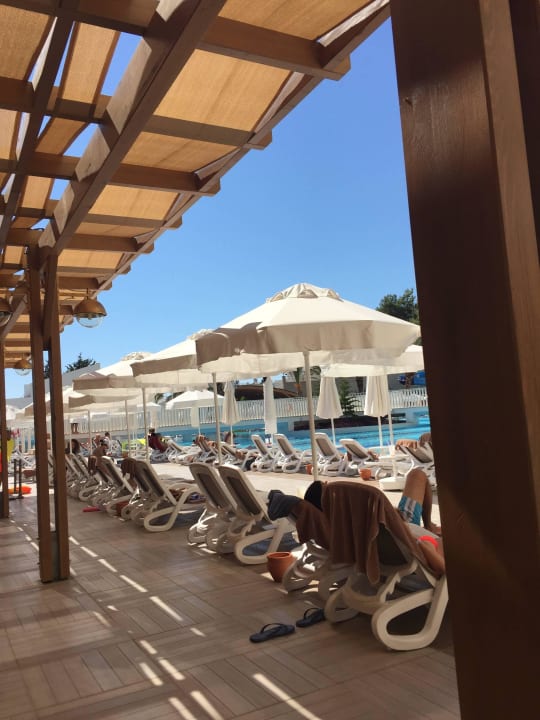 Poolbar Blick auf pool Sidemarin Kirman Premium