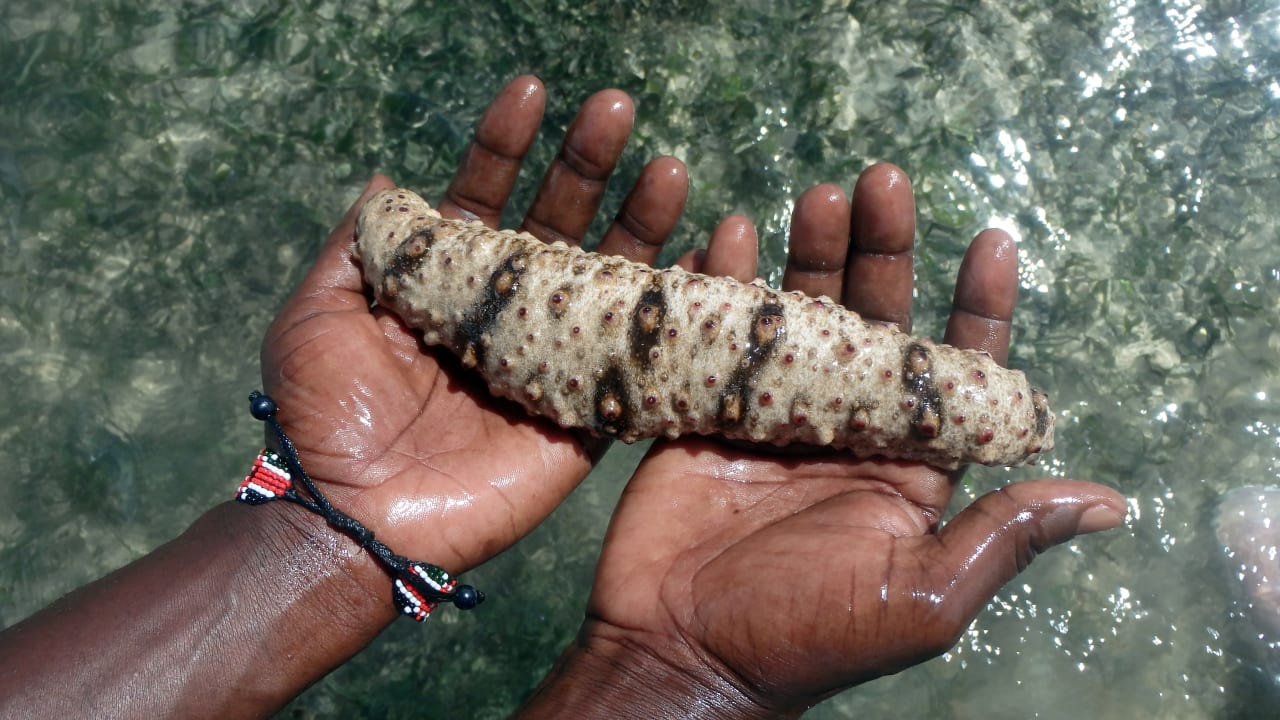 Strand Bahari Beach Hotel