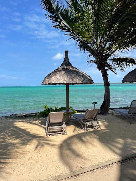 Ausblick Tropical Attitude - Adults only