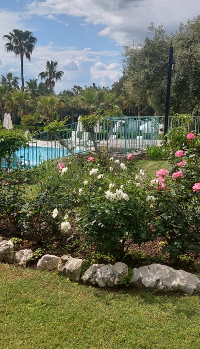 Gartenanlage Iz Flower Side Beach Hotel
