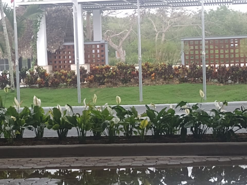 Gartenanlage Sunscape Dominicus La Romana