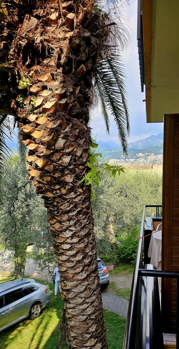 Ausblick Hotel Alpi - Residence al Parco