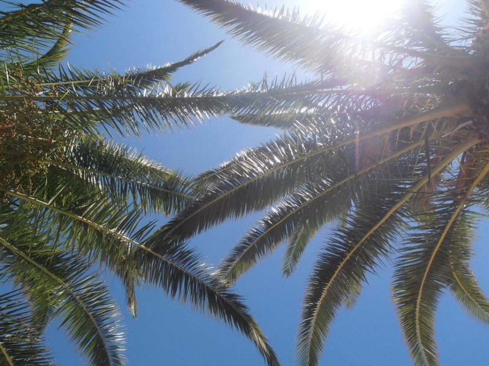 Mein Blick von der Liege in den Himmel Aphrodite Hotel