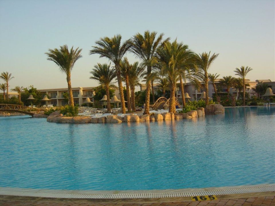 Grosser Pool Parrotel Beach Resort