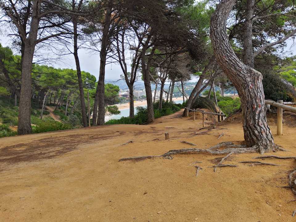 Ausblick htop Amatista #htopBliss