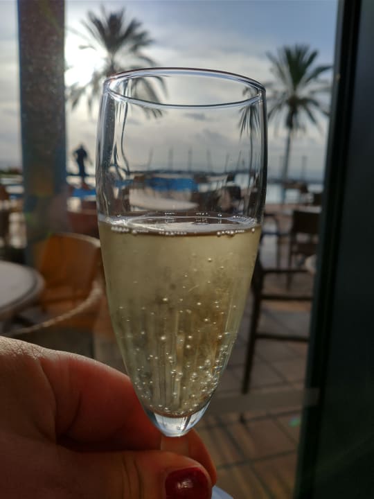 Gastro Pestana Grand Ocean Resort