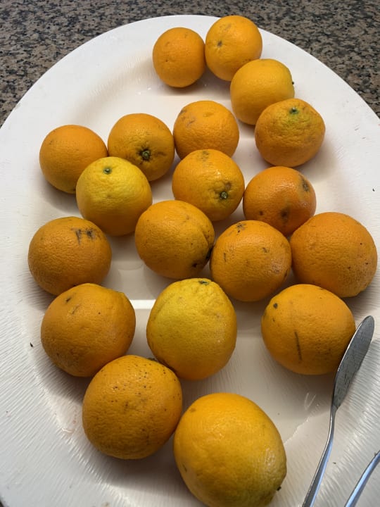 Gastro Club Resort Atlantis