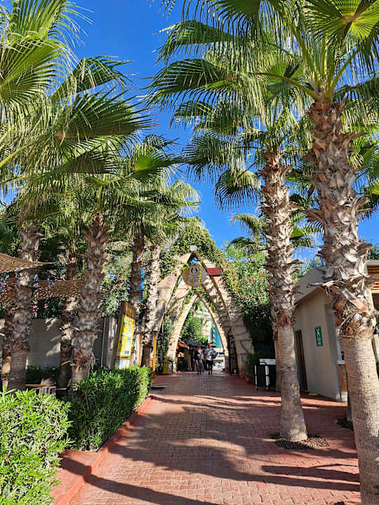 Außenansicht Hotel Delphin Palace