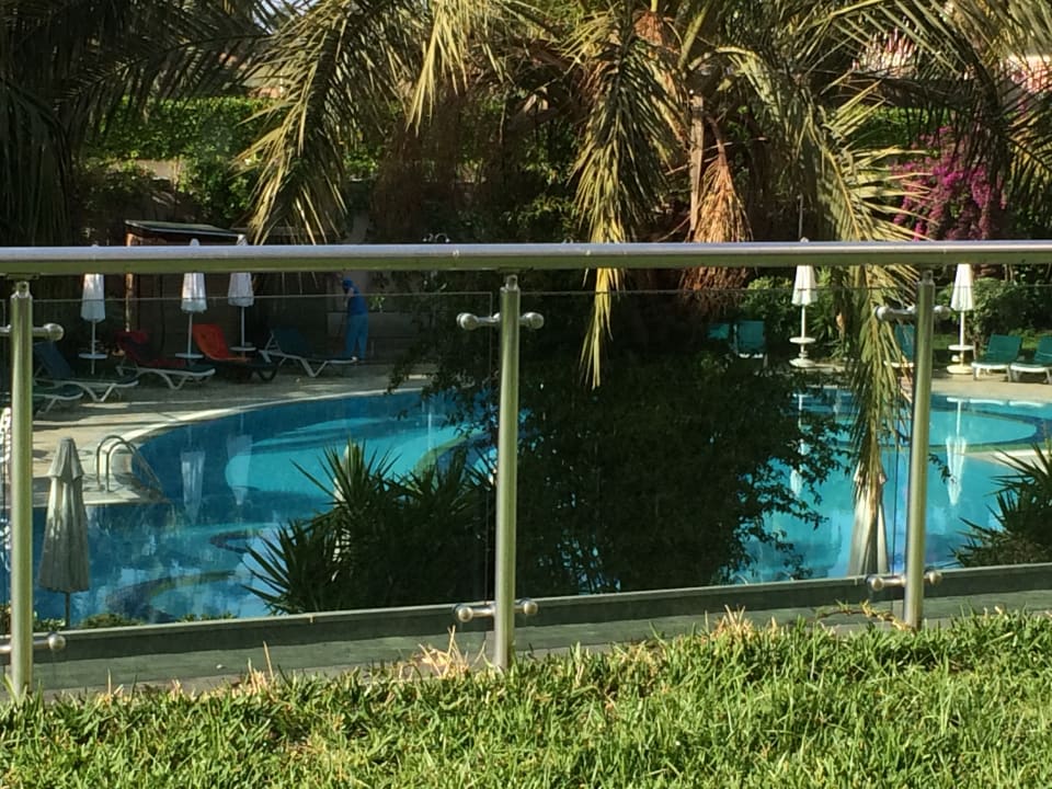 Pool Calimera Hane Garden