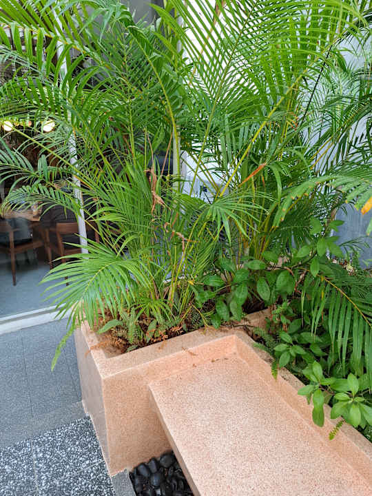 Gartenanlage ASAI Bangkok Chinatown