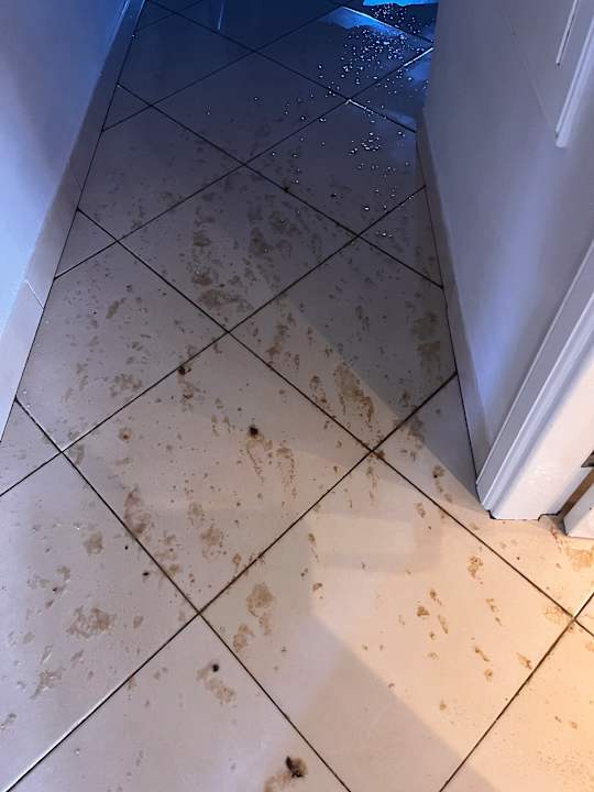 Zimmer allsun App.-Hotel Albatros